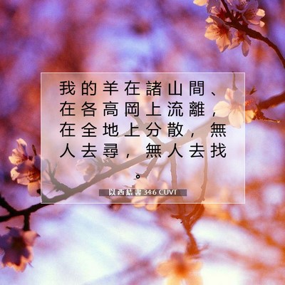 Picture 07 - 以 西 結 書 34:6 CUVT - 我 的 羊 在 諸 山 間 、 在 各 高 岡 - Bible Verse Picture