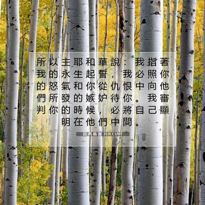 Picture 07 - 以 西 結 書 35:11 CUVT - 所 以 主 耶 和 華 說 ： 我 指 著 我 - Bible Verse Picture