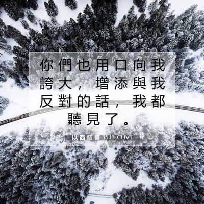 Picture 07 - 以 西 結 書 35:13 CUVT - 你 們 也 用 口 向 我 誇 大 ， 增 添 - Bible Verse Picture