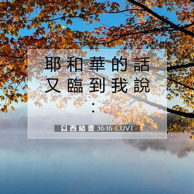 Picture 07 - 以 西 結 書 36:16 CUVT - 耶 和 華 的 話 又 臨 到 我 說 - Bible Verse Picture