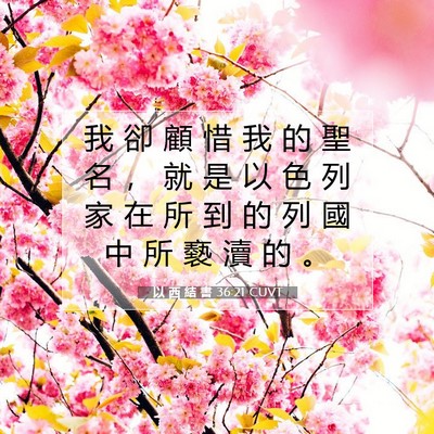 Picture 07 - 以 西 結 書 36:21 CUVT - 我 卻 顧 惜 我 的 聖 名 ， 就 是 以 - Bible Verse Picture