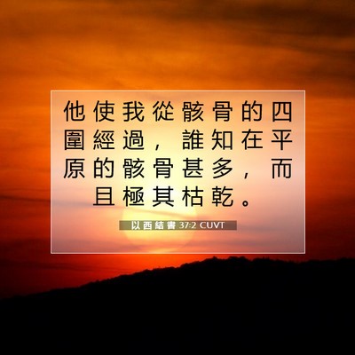 Picture 07 - 以 西 結 書 37:2 CUVT - 他 使 我 從 骸 骨 的 四 圍 經 過 ， - Bible Verse Picture