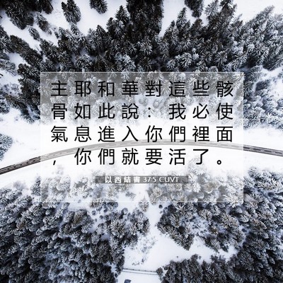Picture 07 - 以 西 結 書 37:5 CUVT - 主 耶 和 華 對 這 些 骸 骨 如 此 說 - Bible Verse Picture