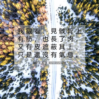 Picture 07 - 以 西 結 書 37:8 CUVT - 我 觀 看 ， 見 骸 骨 上 有 筋 ， 也 - Bible Verse Picture