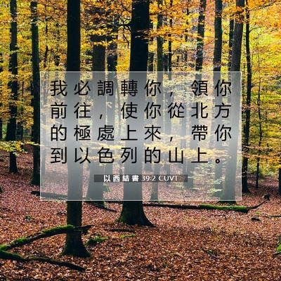 Picture 07 - 以 西 結 書 39:2 CUVT - 我 必 調 轉 你 ， 領 你 前 往 ， 使 - Bible Verse Picture