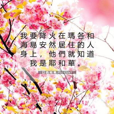 Picture 07 - 以 西 結 書 39:6 CUVT - 我 要 降 火 在 瑪 各 和 海 島 安 然 - Bible Verse Picture