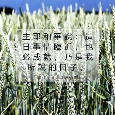 Picture 07 - 以 西 結 書 39:8 CUVT - 主 耶 和 華 說 ： 這 日 事 情 臨 近 - Bible Verse Picture