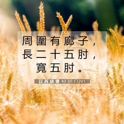 Picture 07 - 以 西 結 書 40:30 CUVT - 周 圍 有 廊 子 ， 長 二 十 五 肘 ， - Bible Verse Picture