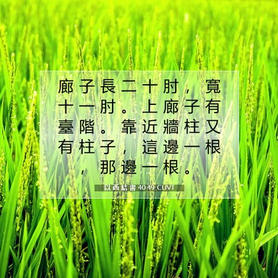 Picture 07 - 以 西 結 書 40:49 CUVT - 廊 子 長 二 十 肘 ， 寬 十 一 肘 。 - Bible Verse Picture