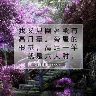 Picture 07 - 以 西 結 書 41:8 CUVT - 我 又 見 圍 著 殿 有 高 月 臺 。 旁 - Bible Verse Picture