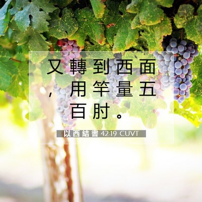 Picture 07 - 以 西 結 書 42:19 CUVT - 又 轉 到 西 面 ， 用 竿 量 五 百 肘 - Bible Verse Picture