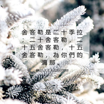 Picture 07 - 以 西 結 書 45:12 CUVT - 舍 客 勒 是 二 十 季 拉 ； 二 十 舍 - Bible Verse Picture