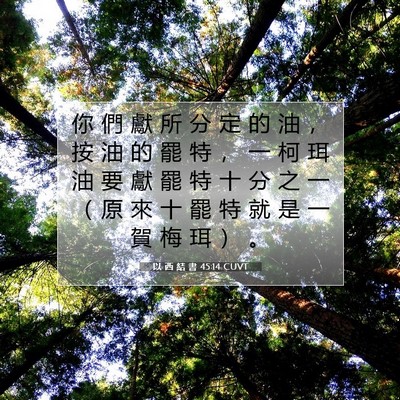 Picture 07 - 以 西 結 書 45:14 CUVT - 你 們 獻 所 分 定 的 油 ， 按 油 的 - Bible Verse Picture