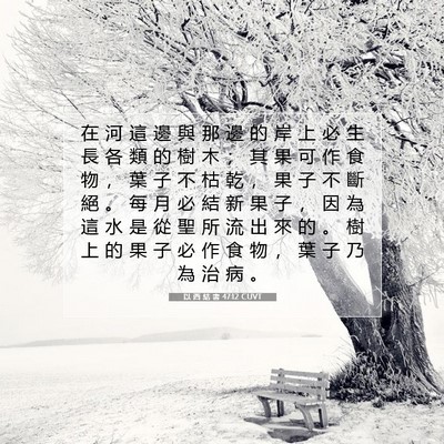 Picture 07 - 以 西 結 書 47:12 CUVT - 在 河 這 邊 與 那 邊 的 岸 上 必 生 - Bible Verse Picture