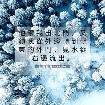 Picture 07 - 以 西 結 書 47:2 CUVT - 他 帶 我 出 北 門 ， 又 領 我 從 外 - Bible Verse Picture