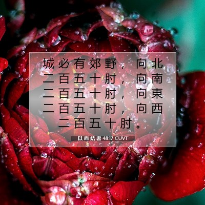 Picture 07 - 以 西 結 書 48:17 CUVT - 城 必 有 郊 野 ， 向 北 二 百 五 十 - Bible Verse Picture