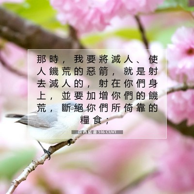 Picture 07 - 以 西 結 書 5:16 CUVT - 那 時 ， 我 要 將 滅 人 、 使 人 饑 - Bible Verse Picture