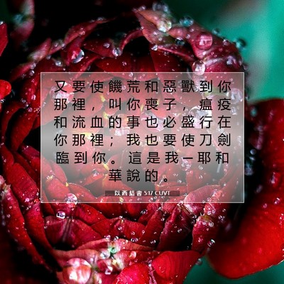 Picture 07 - 以 西 結 書 5:17 CUVT - 又 要 使 饑 荒 和 惡 獸 到 你 那 裡 - Bible Verse Picture