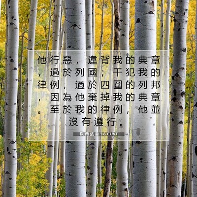 Picture 07 - 以 西 結 書 5:6 CUVT - 他 行 惡 ， 違 背 我 的 典 章 ， 過 - Bible Verse Picture