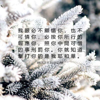 Picture 07 - 以 西 結 書 7:9 CUVT - 我 眼 必 不 顧 惜 你 ， 也 不 可 憐 - Bible Verse Picture