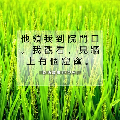 Picture 07 - 以 西 結 書 8:7 CUVT - 他 領 我 到 院 門 口 。 我 觀 看 ， - Bible Verse Picture