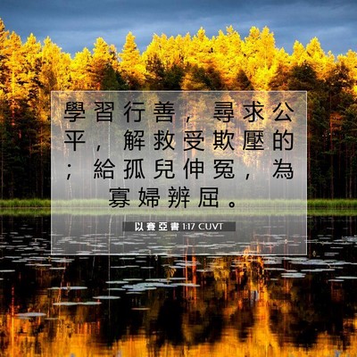 Picture 07 - 以 賽 亞 書 1:17 CUVT - 學 習 行 善 ， 尋 求 公 平 ， 解 救 - Bible Verse Picture