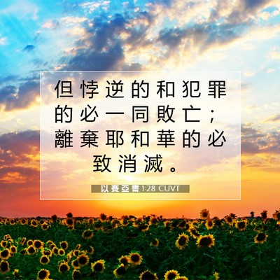 Picture 07 - 以 賽 亞 書 1:28 CUVT - 但 悖 逆 的 和 犯 罪 的 必 一 同 敗 - Bible Verse Picture