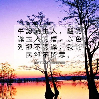 Picture 07 - 以 賽 亞 書 1:3 CUVT - 牛 認 識 主 人 ， 驢 認 識 主 人 的 - Bible Verse Picture
