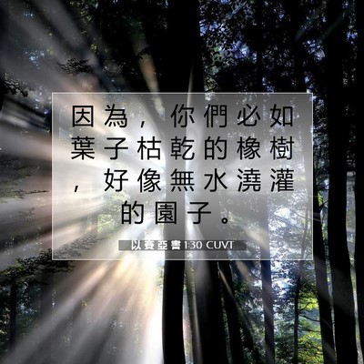 Picture 07 - 以 賽 亞 書 1:30 CUVT - 因 為 ， 你 們 必 如 葉 子 枯 乾 的 - Bible Verse Picture