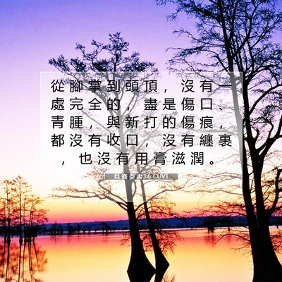 Picture 07 - 以 賽 亞 書 1:6 CUVT - 從 腳 掌 到 頭 頂 ， 沒 有 一 處 完 - Bible Verse Picture