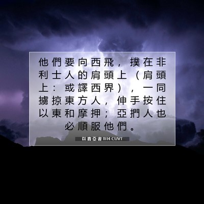 Picture 07 - 以 賽 亞 書 11:14 CUVT - 他 們 要 向 西 飛 ， 撲 在 非 利 士 - Bible Verse Picture
