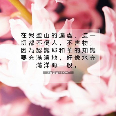 Picture 07 - 以 賽 亞 書 11:9 CUVT - 在 我 聖 山 的 遍 處 ， 這 一 切 都 - Bible Verse Picture