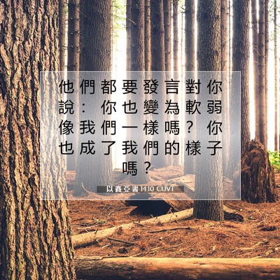 Picture 07 - 以 賽 亞 書 14:10 CUVT - 他 們 都 要 發 言 對 你 說 ： 你 也 - Bible Verse Picture