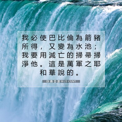 Picture 07 - 以 賽 亞 書 14:23 CUVT - 我 必 使 巴 比 倫 為 箭 豬 所 得 ， - Bible Verse Picture