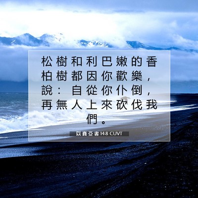 Picture 07 - 以 賽 亞 書 14:8 CUVT - 松 樹 和 利 巴 嫩 的 香 柏 樹 都 因 - Bible Verse Picture