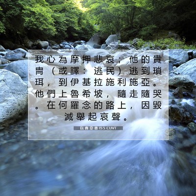 Picture 07 - 以 賽 亞 書 15:5 CUVT - 我 心 為 摩 押 悲 哀 ； 他 的 貴 冑 - Bible Verse Picture