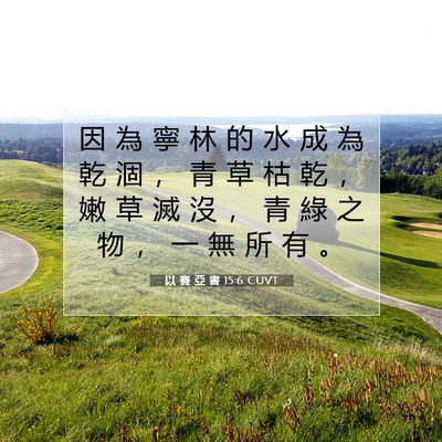 Picture 07 - 以 賽 亞 書 15:6 CUVT - 因 為 寧 林 的 水 成 為 乾 涸 ， 青 - Bible Verse Picture