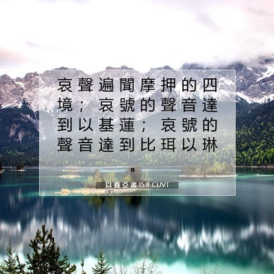 Picture 07 - 以 賽 亞 書 15:8 CUVT - 哀 聲 遍 聞 摩 押 的 四 境 ； 哀 號 - Bible Verse Picture