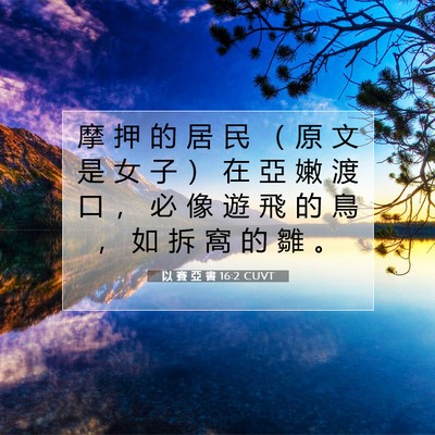 Picture 07 - 以 賽 亞 書 16:2 CUVT - 摩 押 的 居 民 （ 原 文 是 女 子 ） - Bible Verse Picture