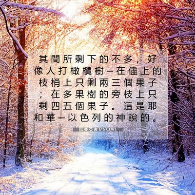 Picture 07 - 以 賽 亞 書 17:6 CUVT - 其 間 所 剩 下 的 不 多 ， 好 像 人 - Bible Verse Picture