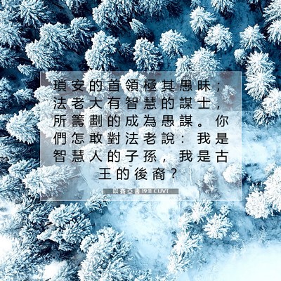Picture 07 - 以 賽 亞 書 19:11 CUVT - 瑣 安 的 首 領 極 其 愚 昧 ； 法 老 - Bible Verse Picture