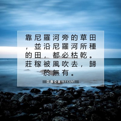 Picture 07 - 以 賽 亞 書 19:7 CUVT - 靠 尼 羅 河 旁 的 草 田 ， 並 沿 尼 - Bible Verse Picture