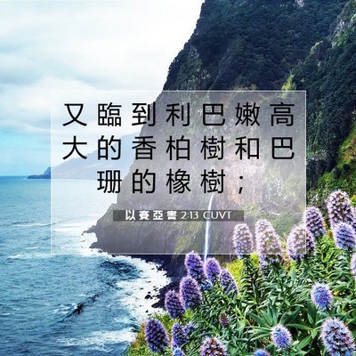 Picture 07 - 以 賽 亞 書 2:13 CUVT - 又 臨 到 利 巴 嫩 高 大 的 香 柏 樹 - Bible Verse Picture