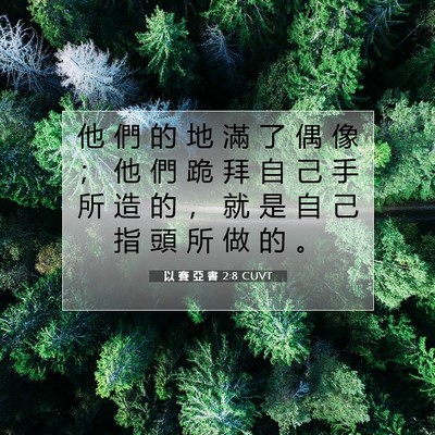 Picture 07 - 以 賽 亞 書 2:8 CUVT - 他 們 的 地 滿 了 偶 像 ； 他 們 跪 - Bible Verse Picture
