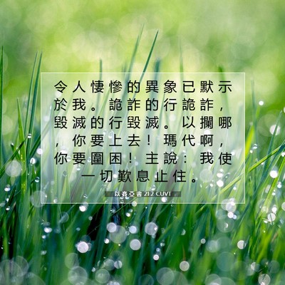 Picture 07 - 以 賽 亞 書 21:2 CUVT - 令 人 悽 慘 的 異 象 已 默 示 於 我 - Bible Verse Picture