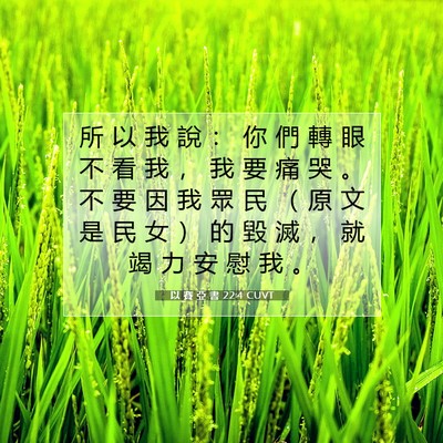 Picture 07 - 以 賽 亞 書 22:4 CUVT - 所 以 我 說 ： 你 們 轉 眼 不 看 我 - Bible Verse Picture