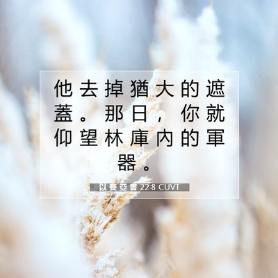 Picture 07 - 以 賽 亞 書 22:8 CUVT - 他 去 掉 猶 大 的 遮 蓋 。 那 日 ， - Bible Verse Picture