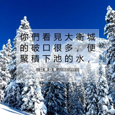 Picture 07 - 以 賽 亞 書 22:9 CUVT - 你 們 看 見 大 衛 城 的 破 口 很 多 - Bible Verse Picture