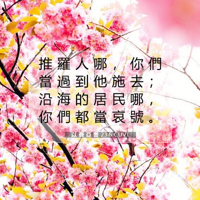 Picture 07 - 以 賽 亞 書 23:6 CUVT - 推 羅 人 哪 ， 你 們 當 過 到 他 施 - Bible Verse Picture