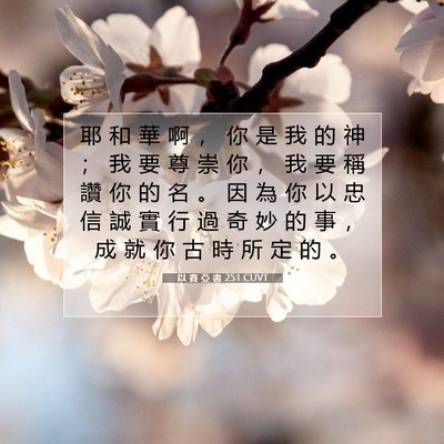 Picture 07 - 以 賽 亞 書 25:1 CUVT - 耶 和 華 啊 ， 你 是 我 的 神 ； 我 - Bible Verse Picture